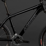Santa Cruz Chameleon